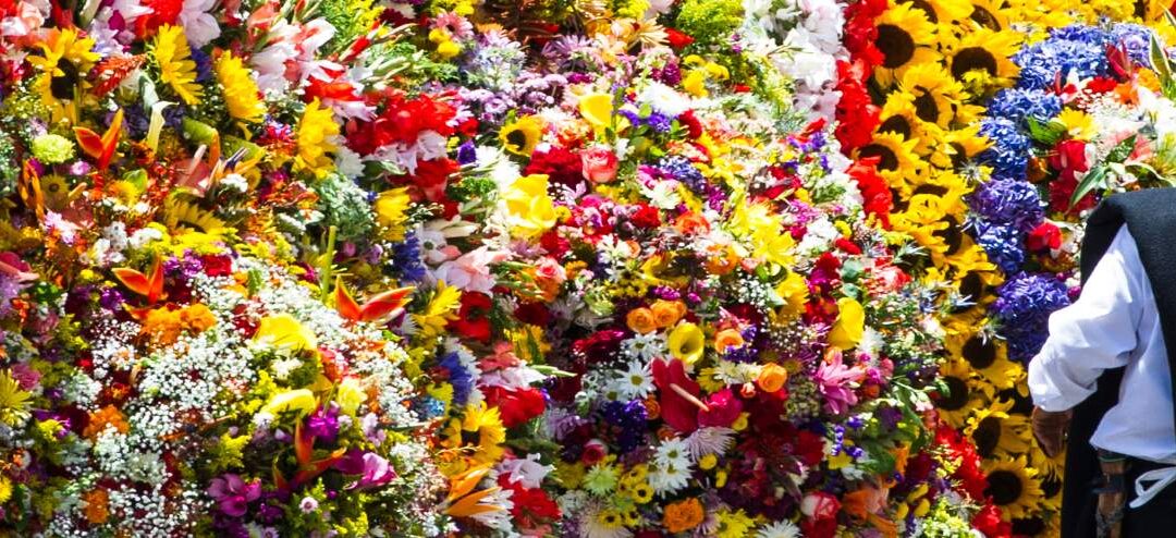 TOUR DE LAS FLORES